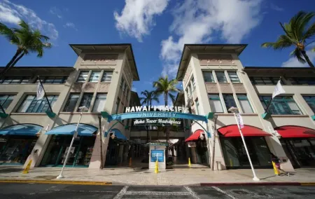 Hawaii Pacific University Programs - Degree Options for 2025