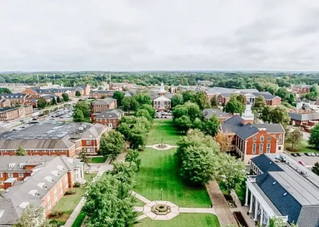 Top & Best of Bachelor of Fine Arts in Painting