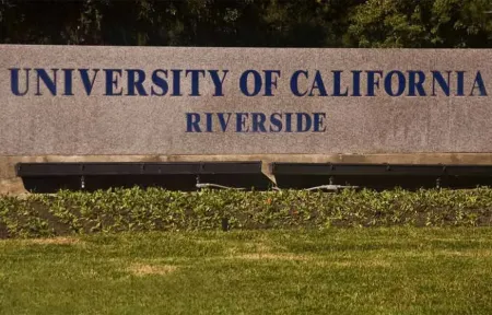 Top & Best of Postgraduate Diploma in Bioengineering Management