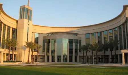 Top & Best of Bachelor of Arts in Interdisciplinary Studies